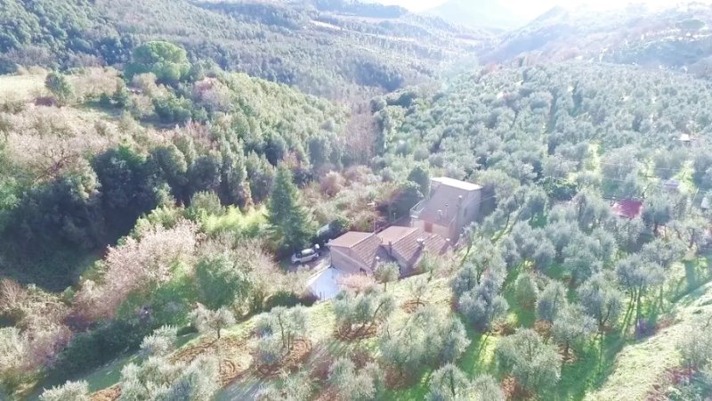 In posizione collinare a circa 5 km dal casello A1 di Orvieto.